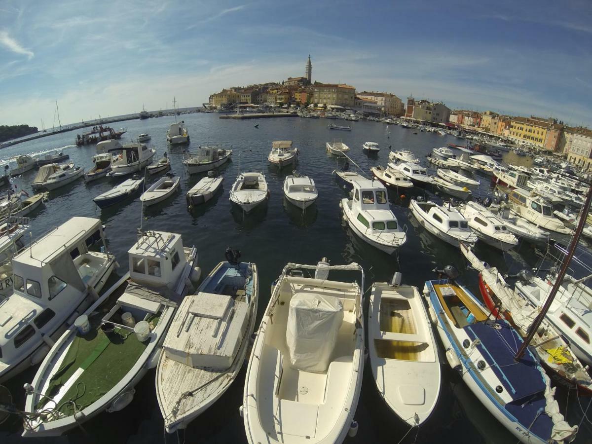 Apartma Jelka Novigrad Istria Buitenkant foto