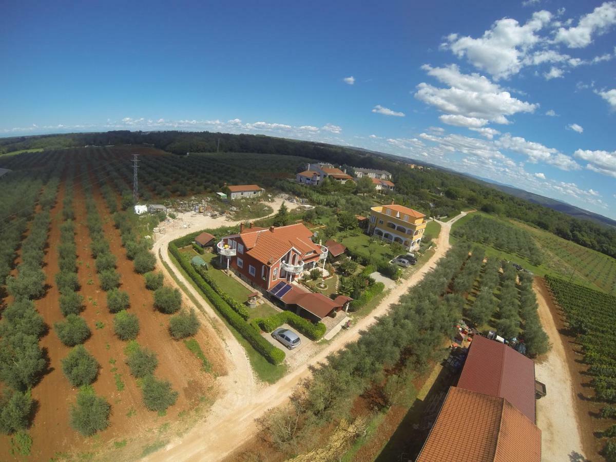 Apartma Jelka Novigrad Istria Buitenkant foto