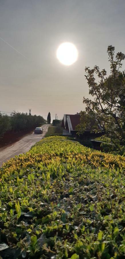 Apartma Jelka Novigrad Istria Buitenkant foto