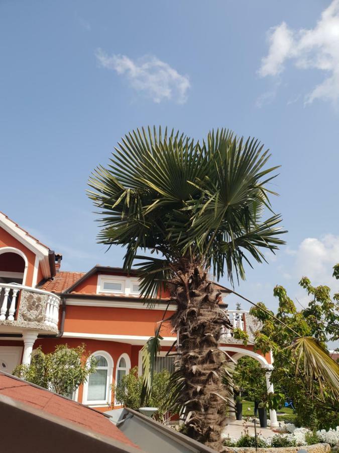 Apartma Jelka Novigrad Istria Buitenkant foto