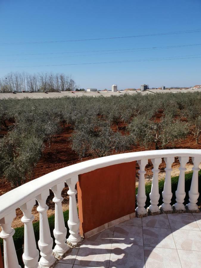 Apartma Jelka Novigrad Istria Buitenkant foto